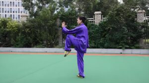 24 Form Tai Chi moves Name and the ten essentials of Tai Chi