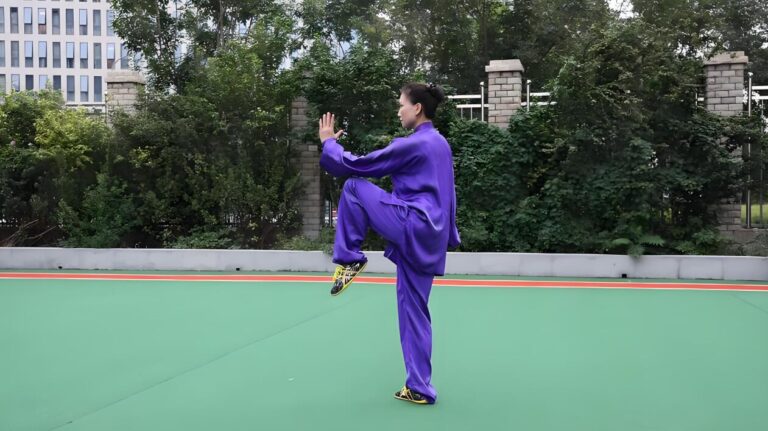 Le Dat Chi 24 Form Tai Chi moves Name and the ten essentials of Tai Chi - ZhaobaoTaiji