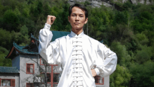 Basic Tai Chi Movements